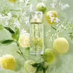 Ô DE LANCOME EAU DE TOILETTE