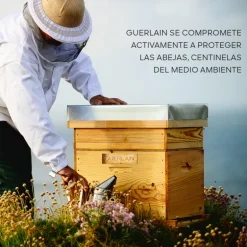 ABEILLE ROYALE ACEITE EN BÁLSAMO DE JUVENTUD REPARACIÓN INTENSA 80ML