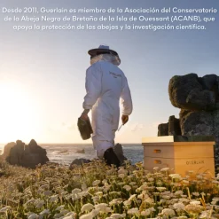 Abeille Royale Sérum Aceite Acuoso de Juventud