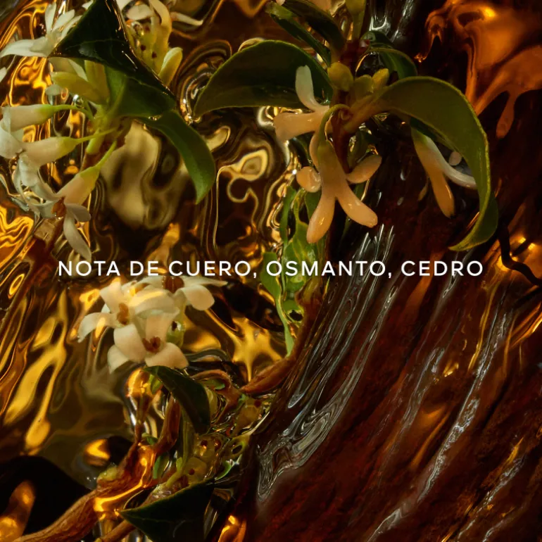 Absolus Allegoria Cuir Intense Eau de Parfum