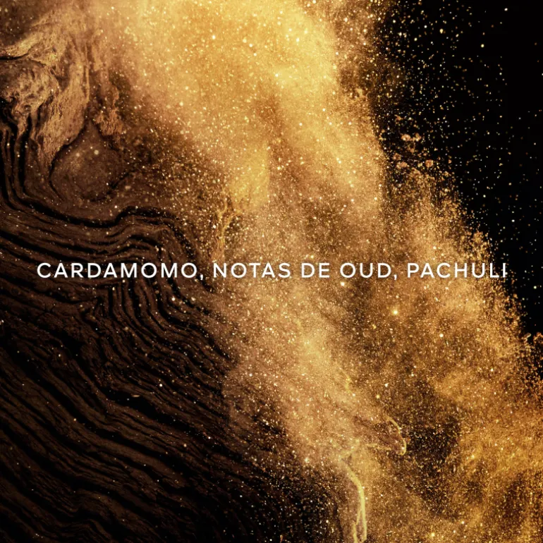 Absolus Allegoria Epices Exquises Eau de Parfum