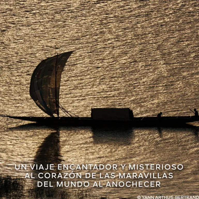 Absolus Allegoria Epices Exquises Eau de Parfum