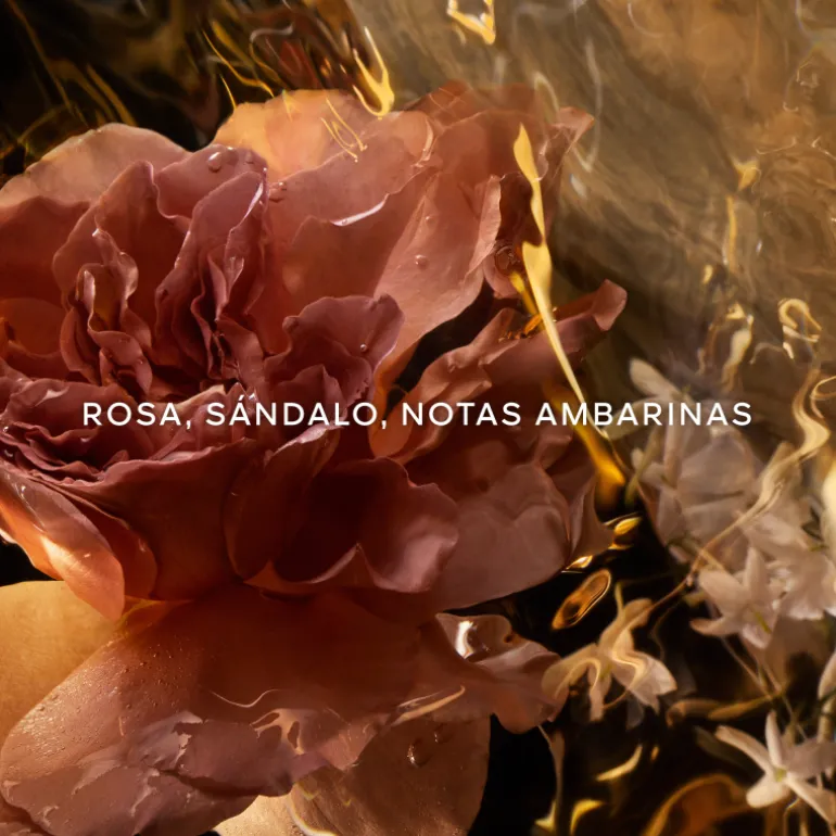 Absolus Allegoria Santal Royal Eau de Parfum