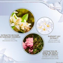 Advanced Intensive Night Cream