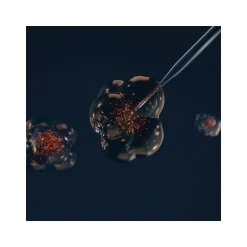 Age Proteom Contorno de Ojos