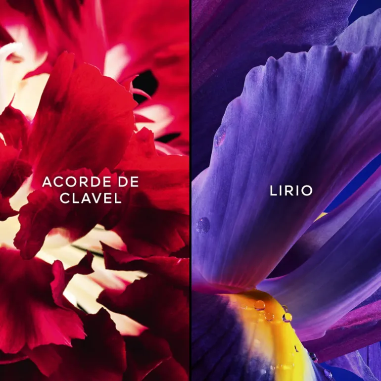 APRÈS D'ONDÉE EDT 75ML