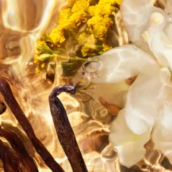 AQUA ALLEGORIA FORTE BOSCA VANILLA  EAU DE PARFUM