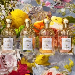 AQUA ALLEGORIA HERBA FRESCA EAU DE TOILETTE