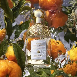 AQUA ALLEGORIA MANDARINE BASILIC EAU DE TOILETTE