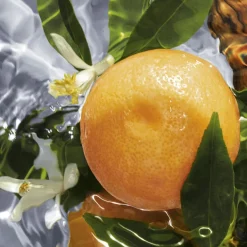 AQUA ALLEGORIA PAMPLELUNE EAU DE TOILETTE