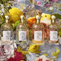 AQUA ALLEGORIA PAMPLELUNE EAU DE TOILETTE