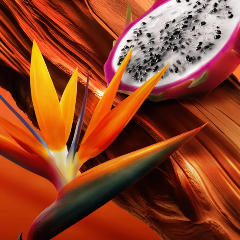 Bali Paradise Eau de Toilette Vaporizador