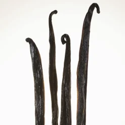 Burberry Goddess Eau de Parfum Intense para Mujer