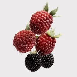 BURBERRY HER EAU DE PARFUM