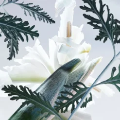 Bvlgari Man Glacial Essence Eau de Parfum