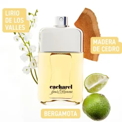 CACHAREL HOMME EAU DE TOILETTE 100ML