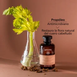 Champú Anticaspa Seca