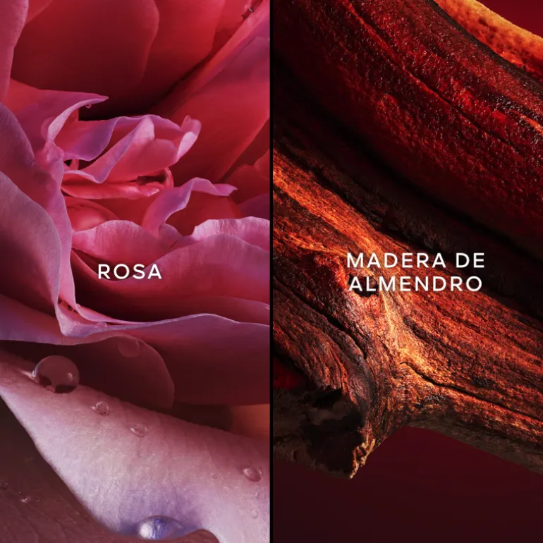 CHAMPS-ELYSÉES EDT 75ML