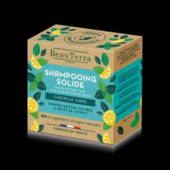 CHAMPU SOLIDO CABELLO GRASO 75GR