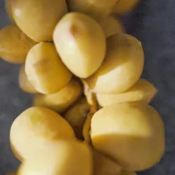 Chloé Nomade Jasmin Naturelle Intense Eau de Parfum Intense