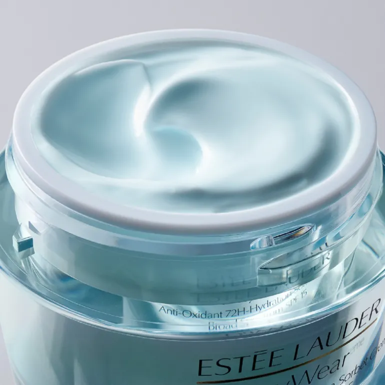 Daywear Moisturizer Multi-Protection Anti-Oxidant 24H-Moisture Creme Spf 15