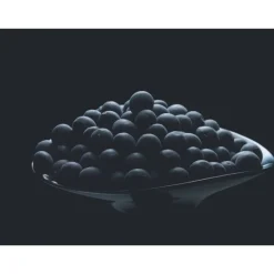 DECORTE  AQ  MELIORITY  INTENSIVE REGENERATING DAY CREAM