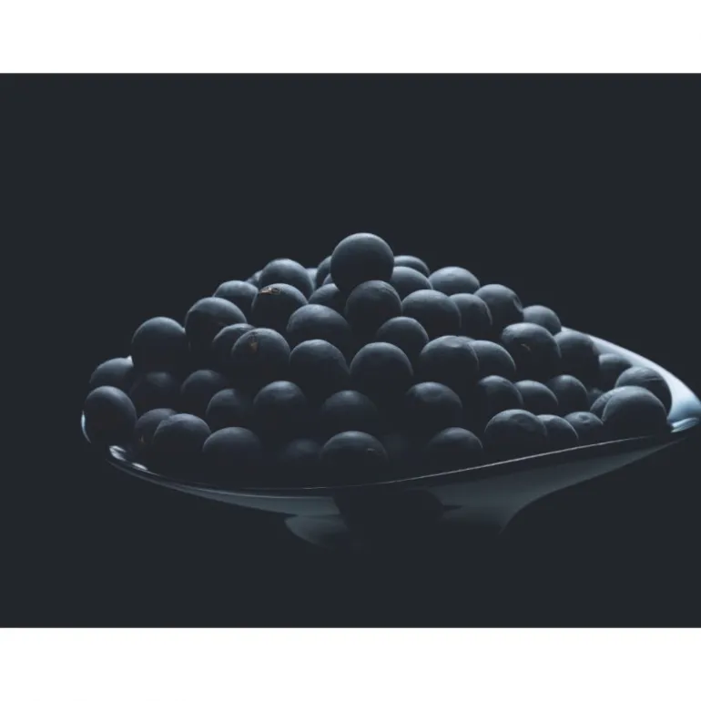 DECORTE  AQ  MELIORITY  INTENSIVE REGENERATING DAY CREAM