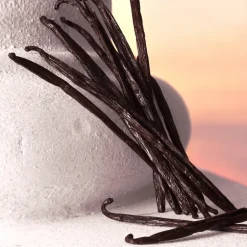 Devotion Eau de Parfum Intense