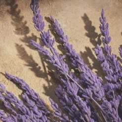 Devotion Pour Homme Parfum