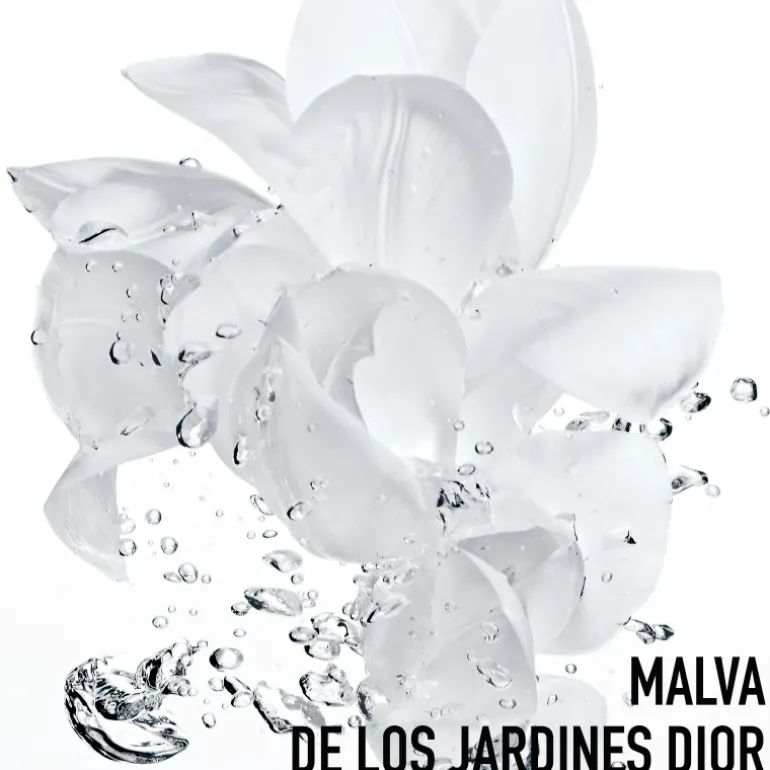 DIOR HYDRA LIFE CRÈME SORBET INTENSECrema hidratante rostro y cuello - hidrata, nutre y embellece