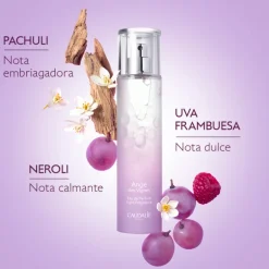 EAU DE PERFUME ANGE DES VIGNES