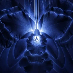 EL CONCENTRADO LOCIÓN-ESENCIA ORCHIDÉE IMPÉRIALE