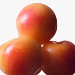 Euphoria Eau de Toilette para Mujer