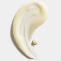 EVEN BETTER CORRECTOR & OPTIMIZER