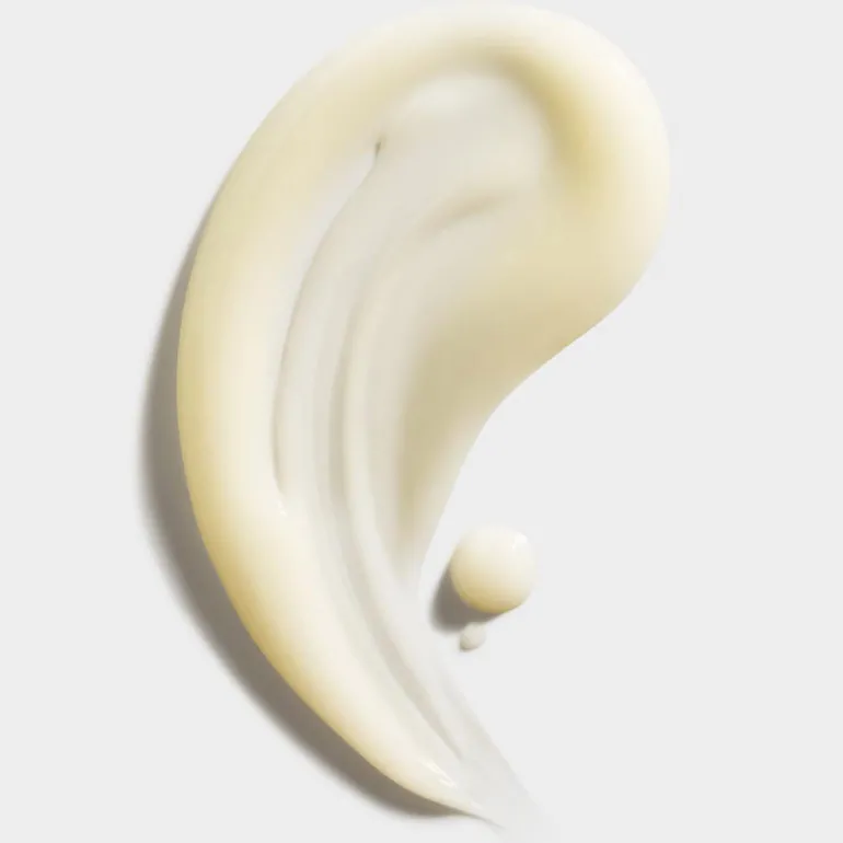 EVEN BETTER CORRECTOR & OPTIMIZER