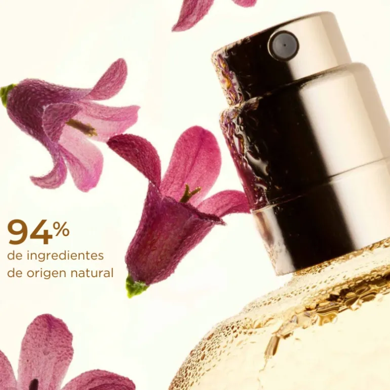 Fix Make Up Gold Edición Limitada