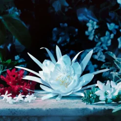 GUCCI BLOOM INTENSE EDP