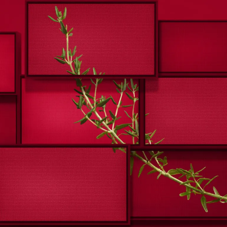 HUGO INTENSE EAU DE PARFUM