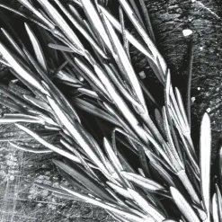 IN ABUNDANCE EDP VAPORIZADOR