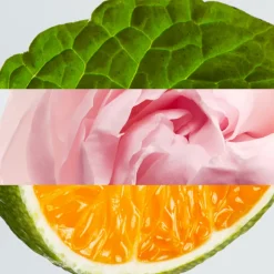 L.12.12 WOMAN PURE ROSE  EDP VAPORIZADOR 100ML