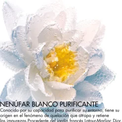 LA MOUSSE OFF/ON Espuma limpiadora anticontaminación con nenúfar blanco francés purificante