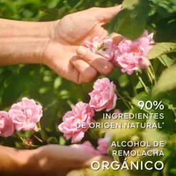 La Petite Robe Noire Le Flacon Coeur Eau de Toilette