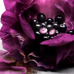 LE NUIT TRÉSOR LE PARFUM PERFUME DE MUJER FLORAL