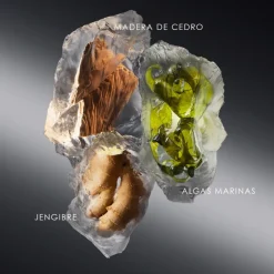 Le Sel D'Issey Eau de Toilette Recargable