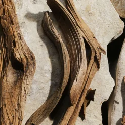 Light Blue New Eau de Toilette