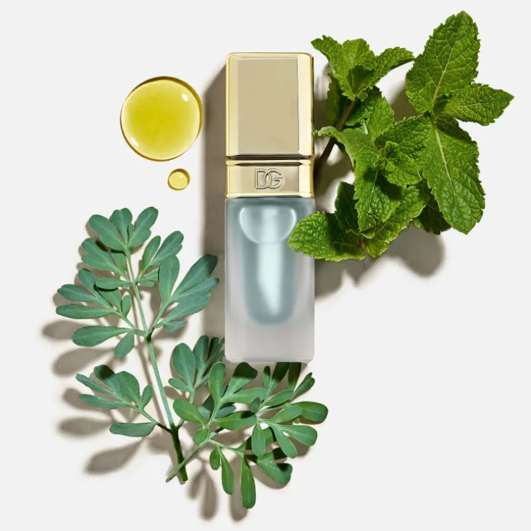 Lip Mint Oil Plumper