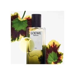 LOEWE ESENCIA ELIXIR