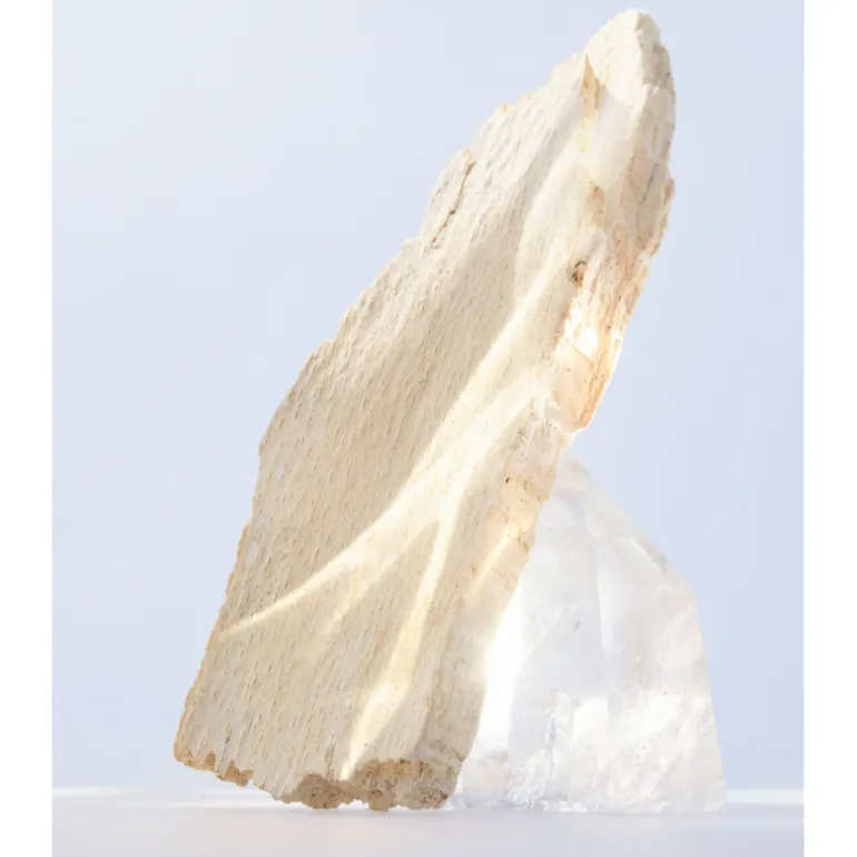 OMNIA CRYSTALLINE EAU DE TOILETTE