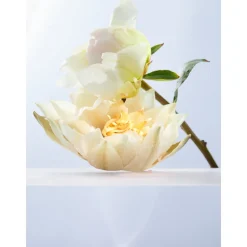 OMNIA CRYSTALLINE EAU DE TOILETTE