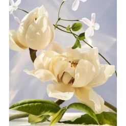 Omnia Crystalline Eau de Parfum